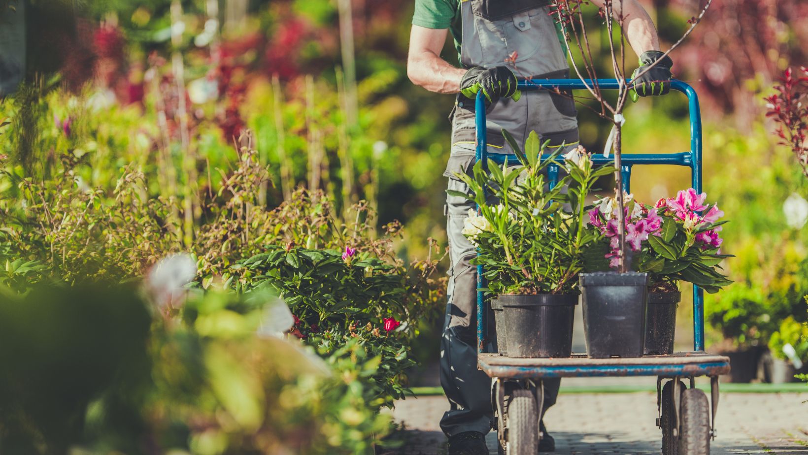 You are currently viewing Discover Home Depot Quincy IL: Your Go-To Resource for Home Improvement and DIY Projects